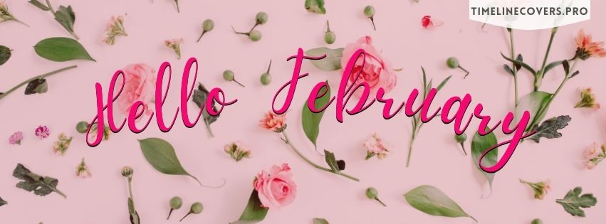 Hello February Pink And Flowers Facebook Cover Photo
