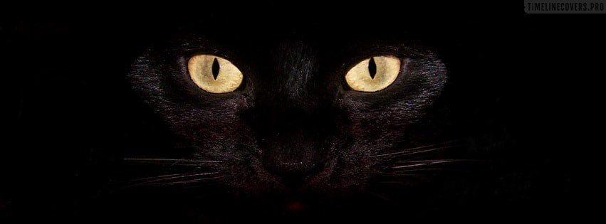 Black-Cat-eyes-facebook-cover.jpg