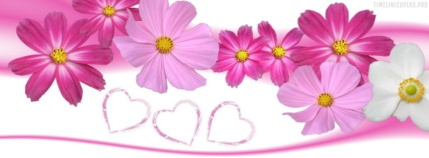 cute wallpapers for facebook timeline cover for girls