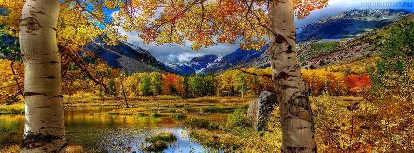 Fall Colors Facebook Cover Photo