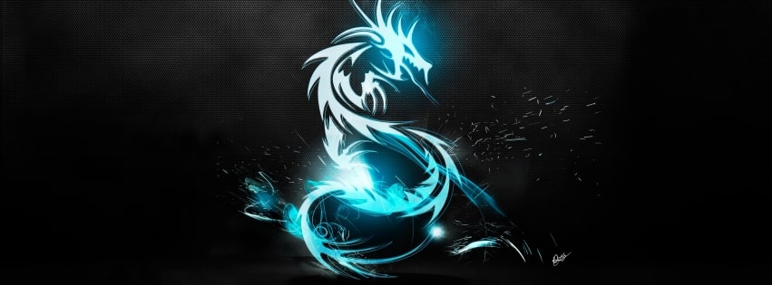 Fantasy Dragon Art Facebook cover