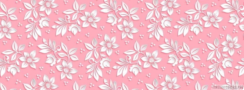 beautiful wallpapers for facebook timeline for girls