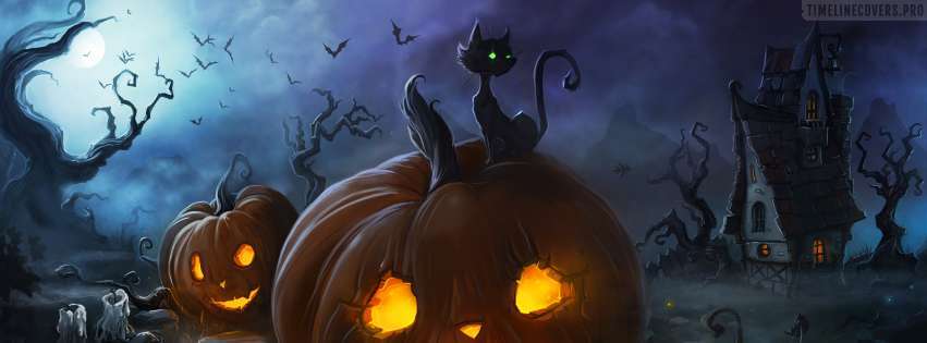 Halloween Cat and Lantern Facebook Cover Photo