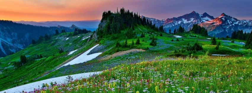 Mountain Wildflowers in Spring Facebook Cover