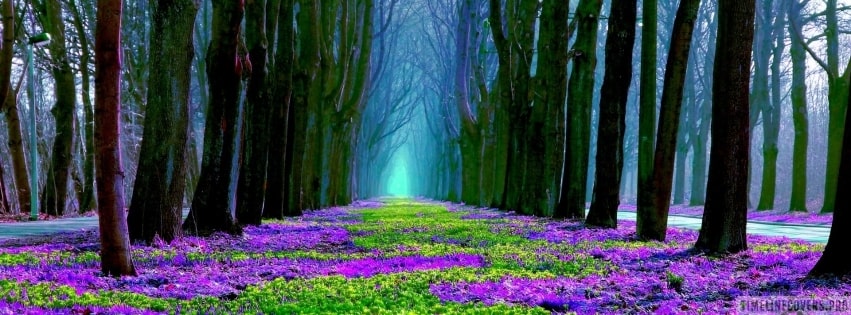 Spring Lavender Flowers in Forest Facebook Cover
